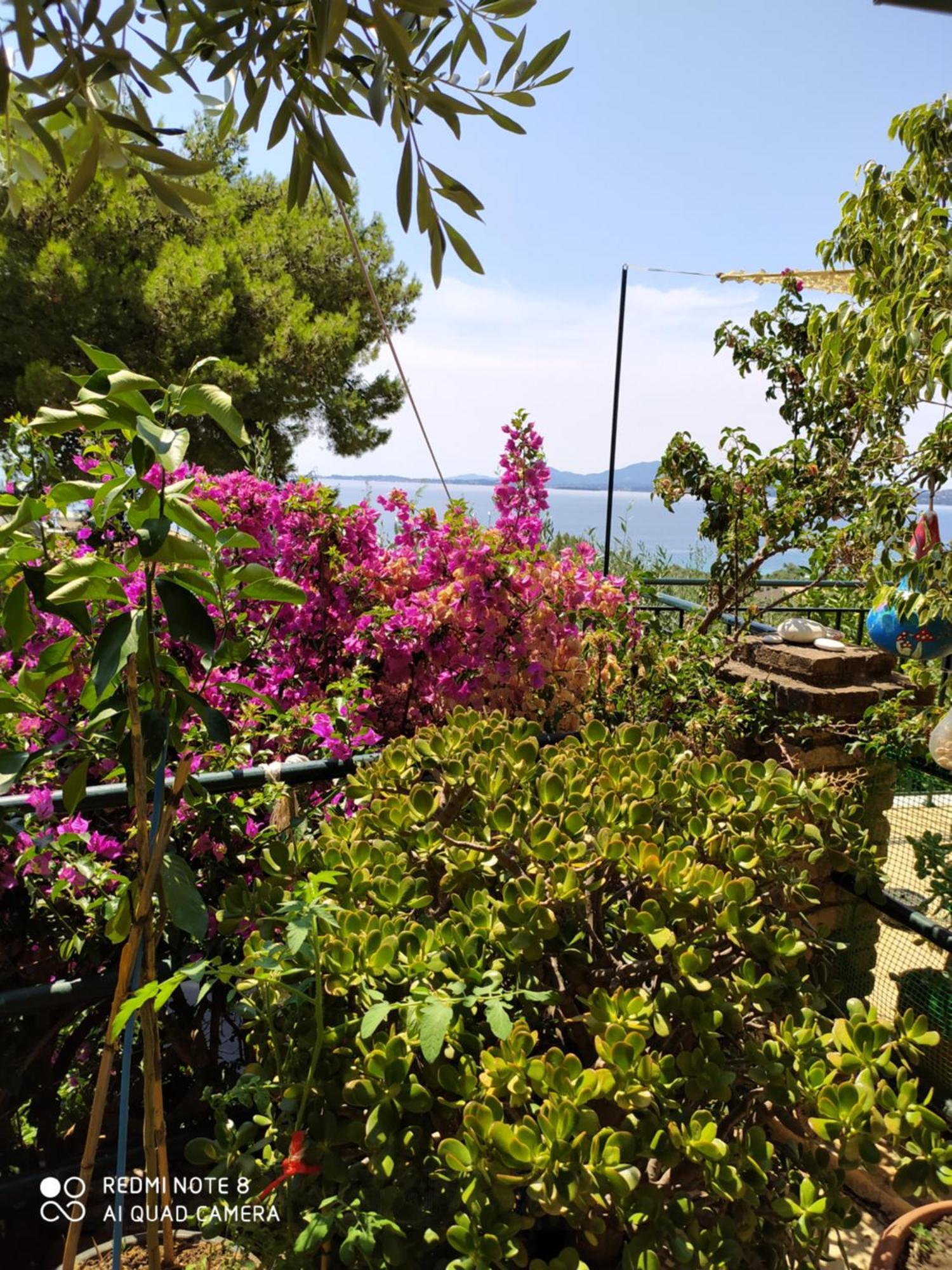 Butterfly Barbati apartments Rom bilde